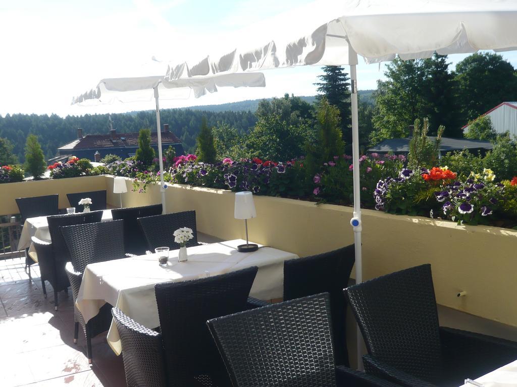 Hotel Falkenstein Falkenstein  Dış mekan fotoğraf